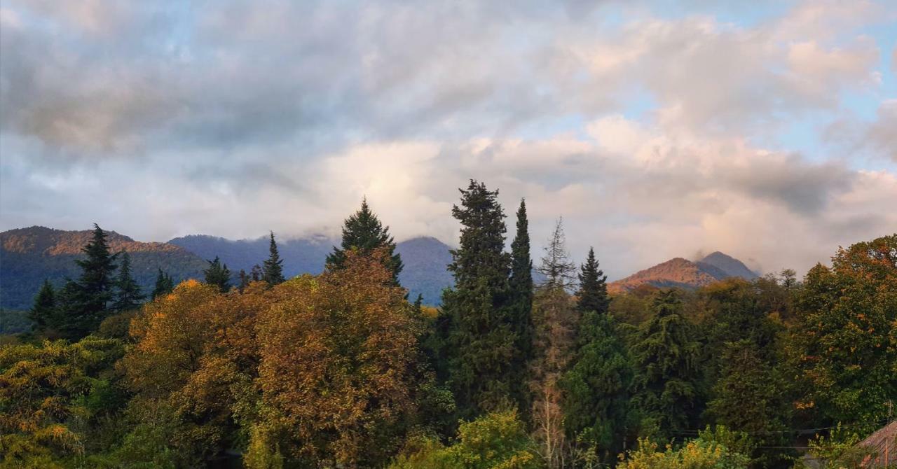 Отель Лагодехи Экстерьер фото